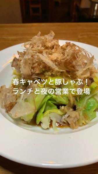 春キャベツ